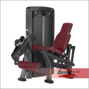 Máquina de Cuádriceps - LIFE FITNESS
