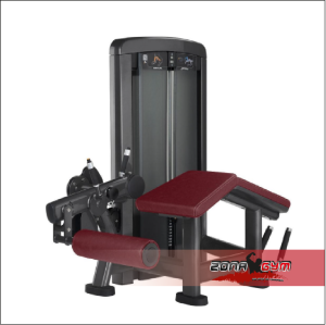 Máquina de Cuádriceps Placas - LIFE FITNESS